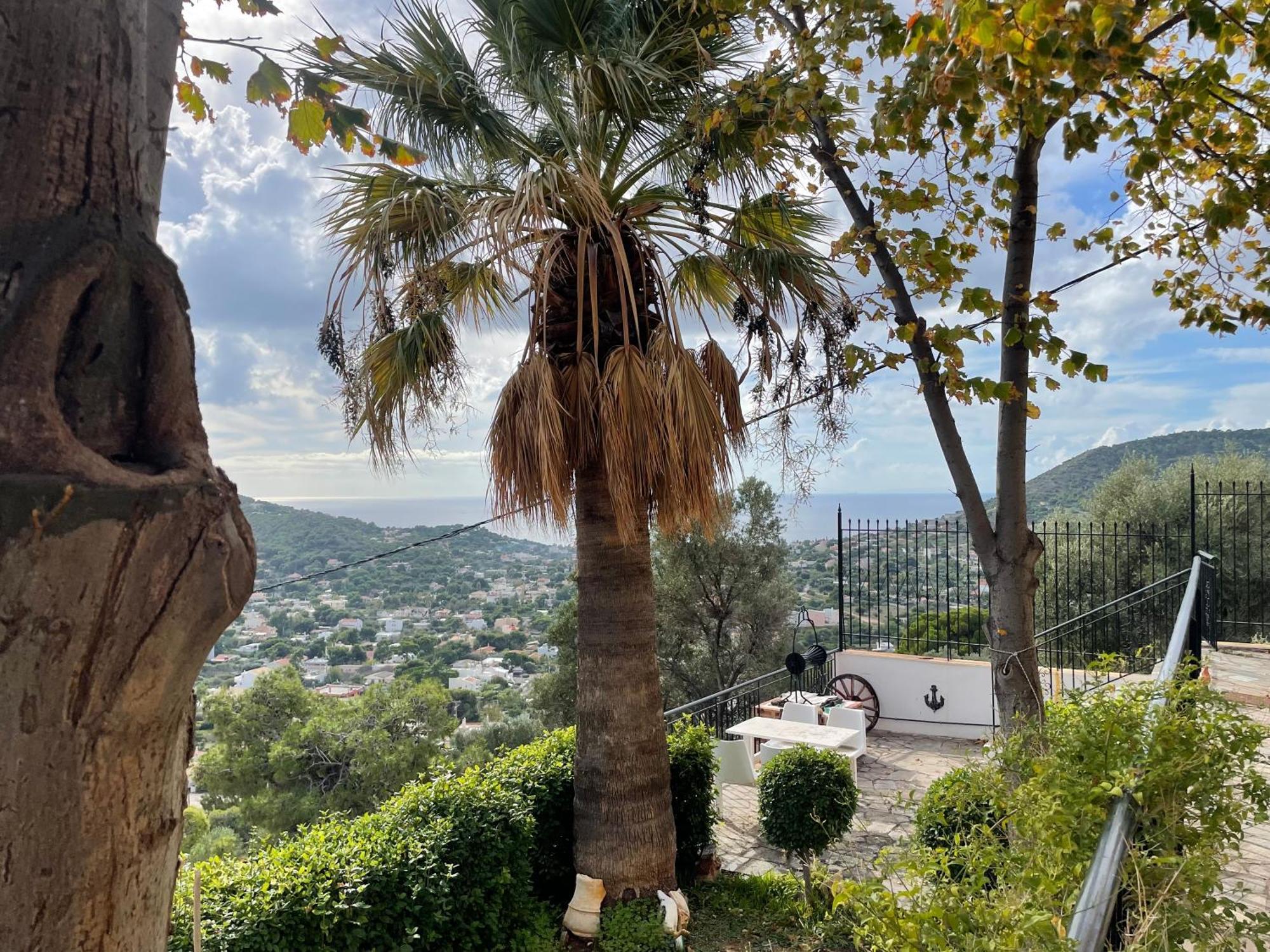 Agia Marina  Eagles Nest Villa Athenian Riviera In Aghia Marina Near Lagonisi, Next To The Beach Close To Athens Airport מראה חיצוני תמונה